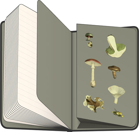Noizbuch Pilze von Kateřina Winterová, liniert, 13 x 21 cm