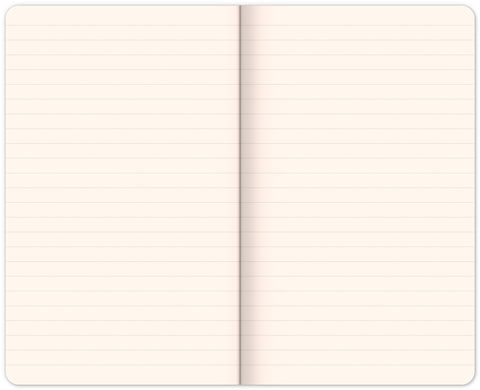 Notizbuch Tauben von Kateřina Winterová, liniert, 13 x 21 cm