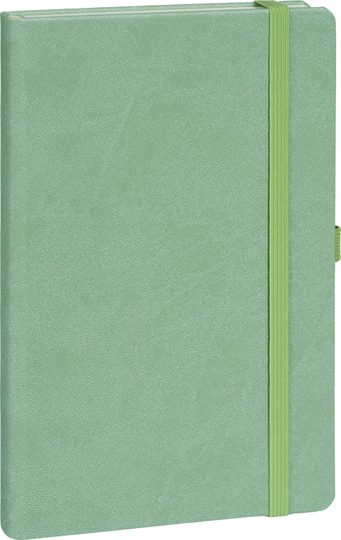 Notizbuch Grün, gepunktet, 13 × 21 cm