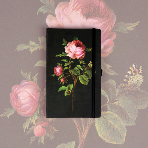 Notizbuch Rosen von Katherine Winter, gepunktet, 13 x 21 cm