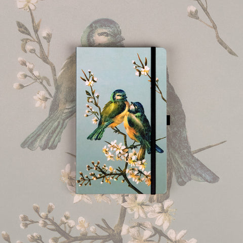 Notizbuch Vögel von Katerina Winterová, gepunktet, 13 x 21 cm