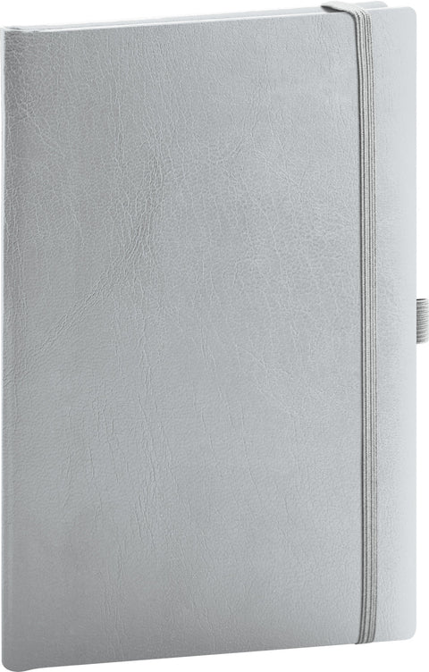 Notizbuch Balacron, silber, gepunktet, 15 x 21 cm