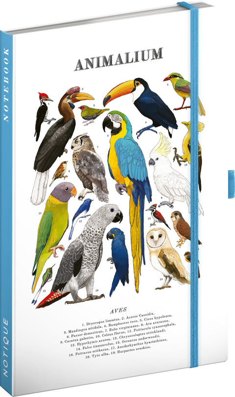 Notizbuch Animalium – Vögel, liniert, 13 x 21 cm