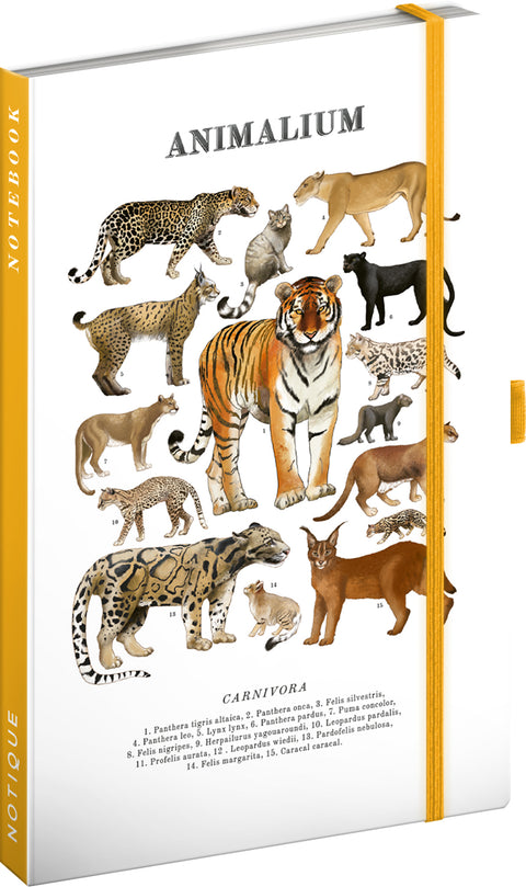 Notizbuch Animalium – Katzenartige, liniert, 13 x 21 cm