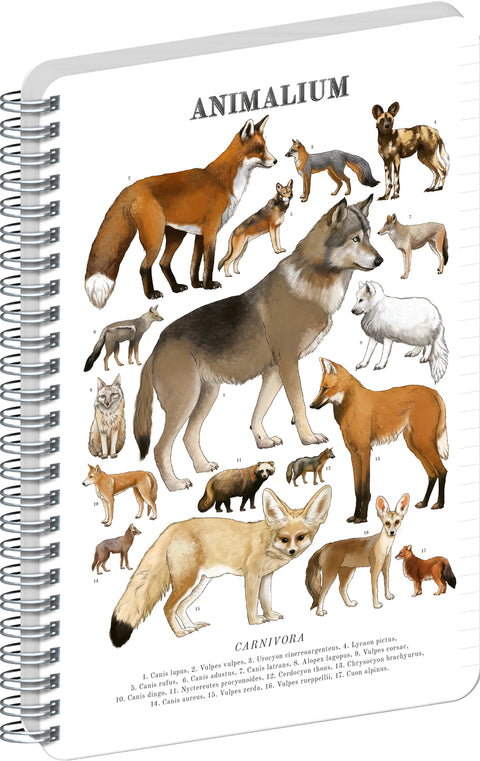 Spiralblock Animalium – Hundeartige, liniert, A5