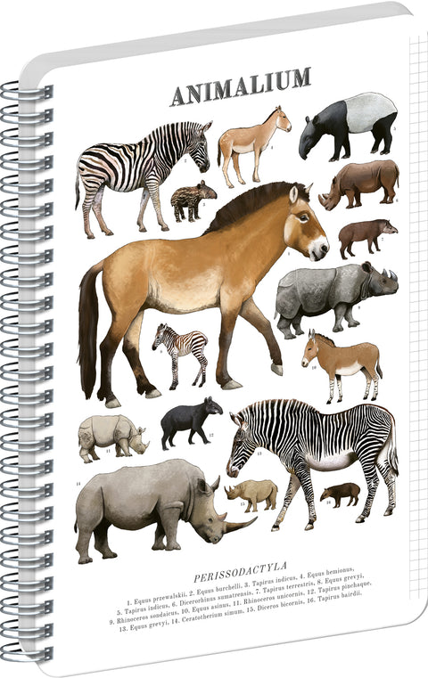 Spiralblock Animalium – Unpaarhufer, kariert, A5