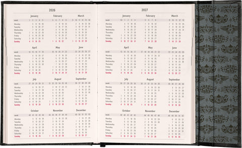 Wöchentlicher Magnetplaner Harry Potter – Lumos 2026, 11 x 16 cm