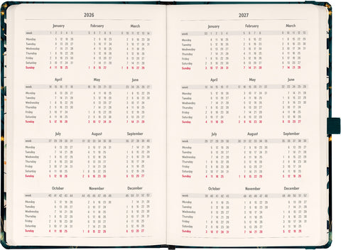 Planbook Kalender/Notizbuch Fuchs 2026, 13 x 21 cm