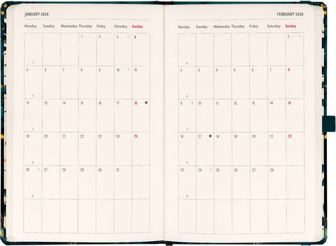 Planbook Kalender/Notizbuch Fuchs 2026, 13 x 21 cm