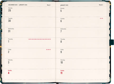 Planbook Kalender/Notizbuch Fuchs 2026, 13 x 21 cm