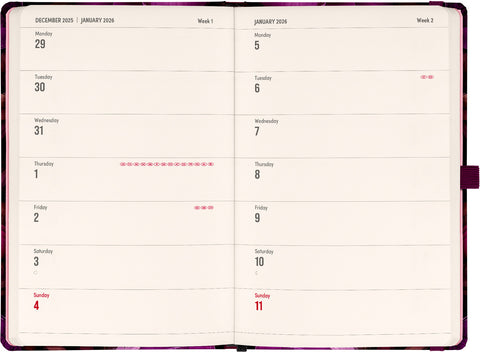Planbook Kalender/Notizbuch Violette Blumen 2026, 13 x 21 cm