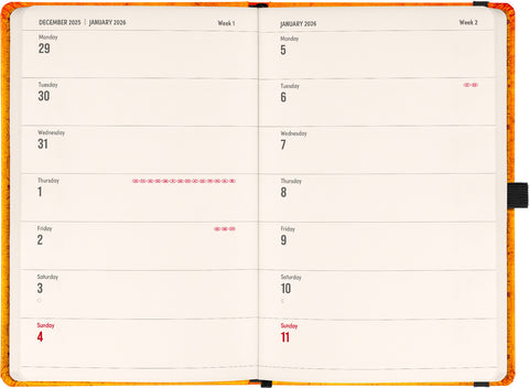 Planbook Kalender/Notizbuch Harry Potter – Hogwarts 2026, 13 x 21 cm