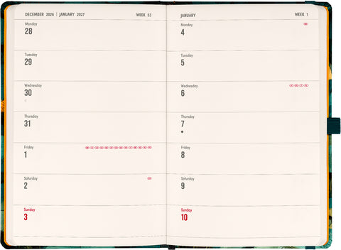 Planbook Planer/Notizbuch Cat 2027, 13 x 21 cm