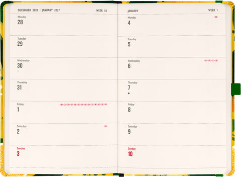 Planbook Planer/Notizbuch Lemons 2027, 13 x 21 cm