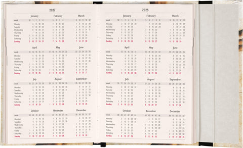 Magnetic Weekly Planner Michelangelo 2027, 11 x 16 cm