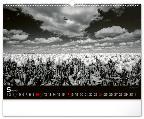 Wandkalender Traumlandschaften 2026, 48 x 33 cm