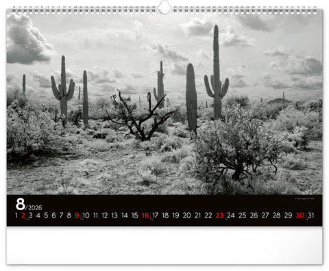 Wandkalender Traumlandschaften 2026, 48 x 33 cm