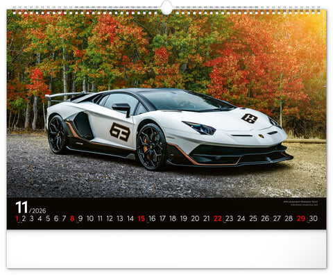 Wandkalender Autos 2026, 48 x 33 cm