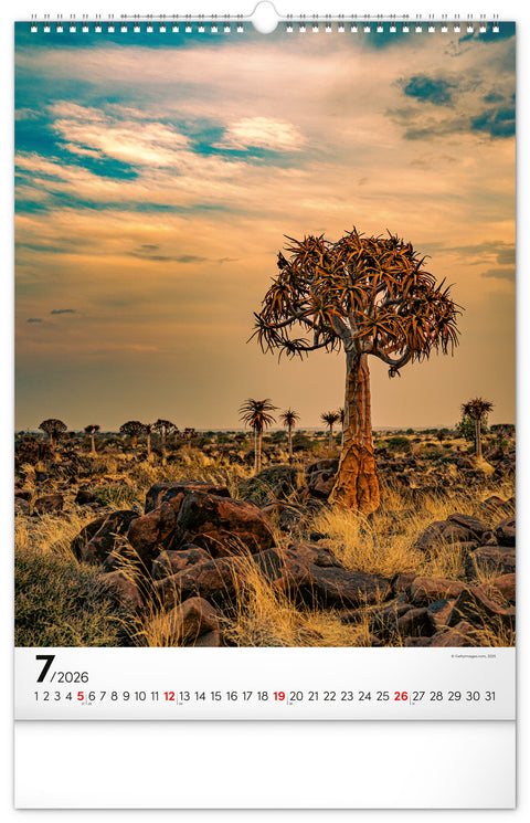 Wandkalender Bäume 2026, 33 x 46 cm