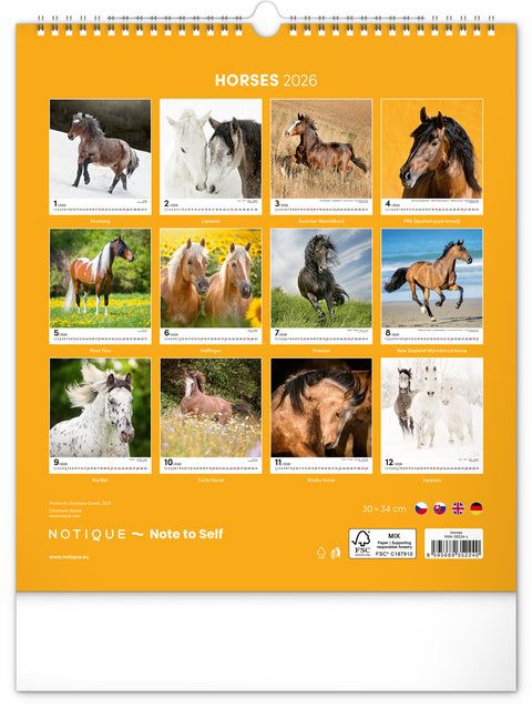 Wandkalender Pferde 2026, 30 x 34 cm