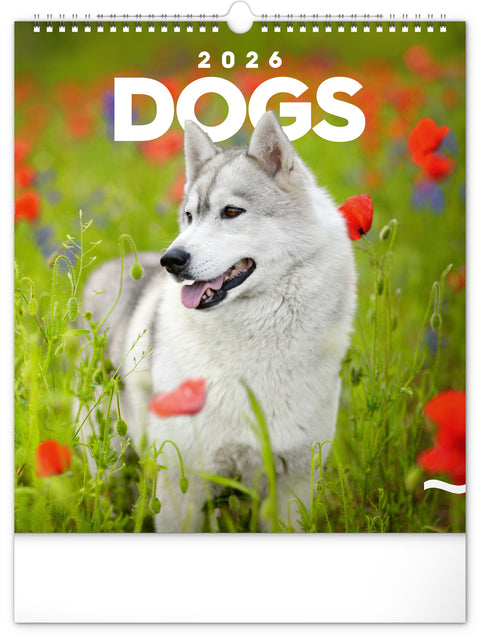 Wandkalender Hunde 2026, 30 x 34 cm