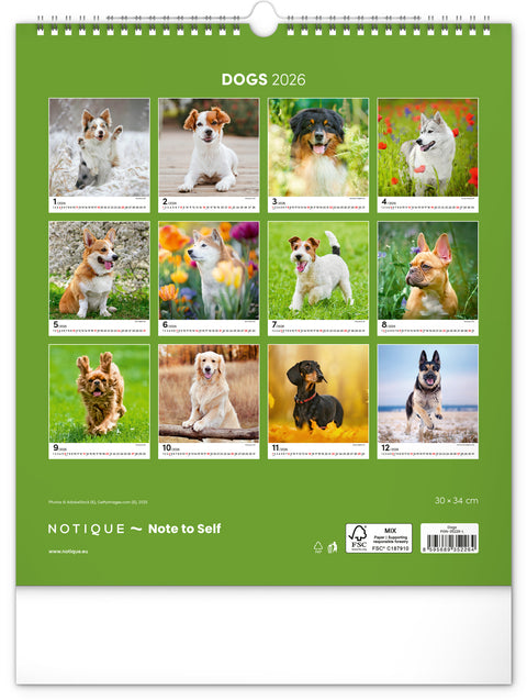 Wandkalender Hunde 2026, 30 x 34 cm