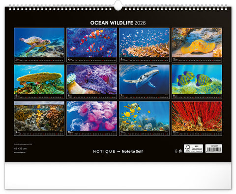 Wandkalender Unterwasserwelt 2026, 48 x 33 cm