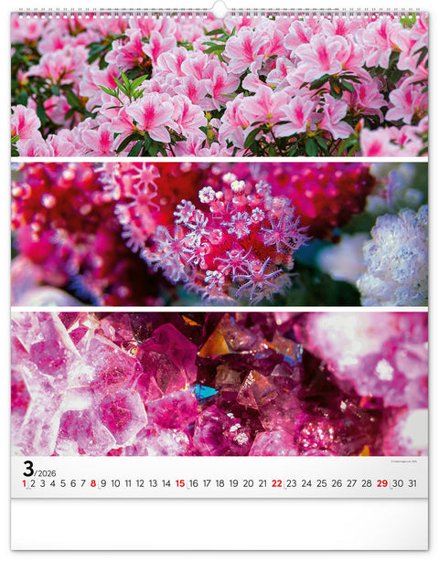 Wandkalender Palette 2026, 48 x 56 cm