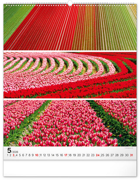 Wandkalender Palette 2026, 48 x 56 cm