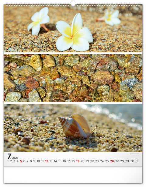 Wandkalender Palette 2026, 48 x 56 cm