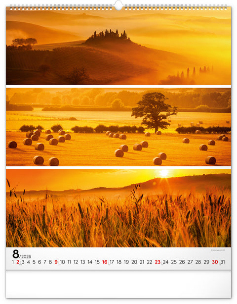 Wandkalender Palette 2026, 48 x 56 cm