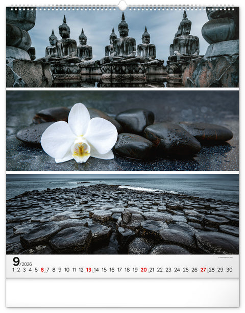 Wandkalender Palette 2026, 48 x 56 cm