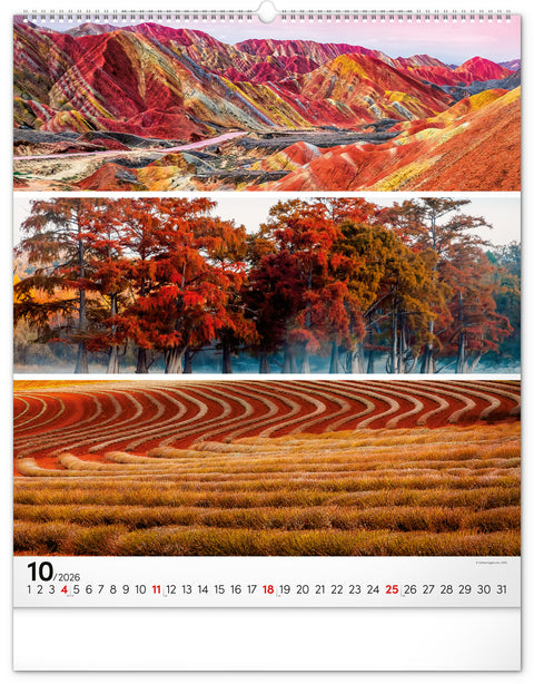 Wandkalender Palette 2026, 48 x 56 cm