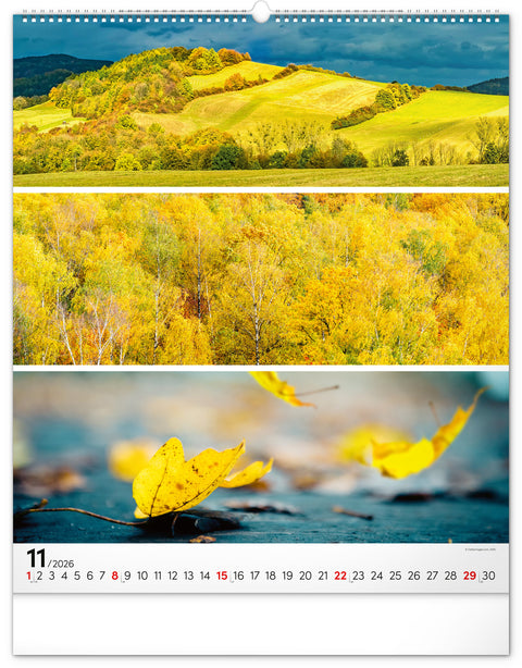 Wandkalender Palette 2026, 48 x 56 cm