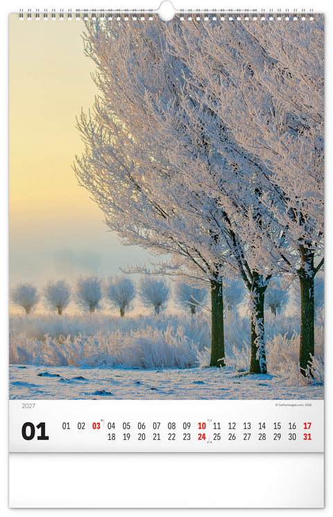 Wandkalender Bäume 2027, 33 x 46 cm