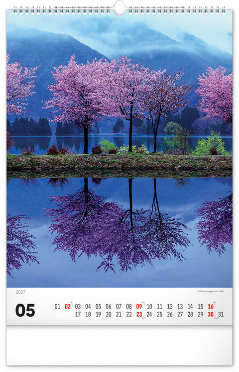 Wandkalender Bäume 2027, 33 x 46 cm