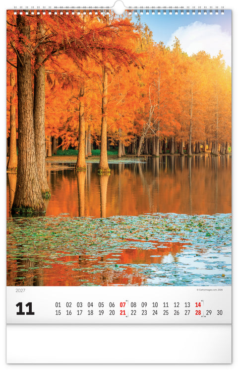 Wandkalender Bäume 2027, 33 x 46 cm