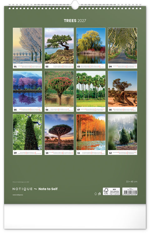 Wandkalender Bäume 2027, 33 x 46 cm