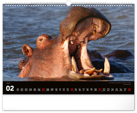 Wandkalender Lebendiges Afrika 2027, 48 x 33 cm