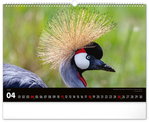 Wandkalender Lebendiges Afrika 2027, 48 x 33 cm