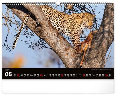 Wandkalender Lebendiges Afrika 2027, 48 x 33 cm