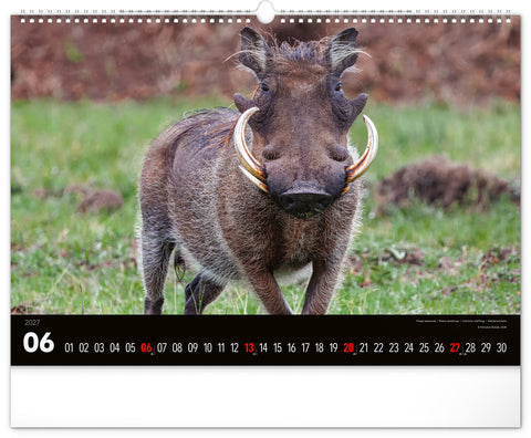 Wandkalender Lebendiges Afrika 2027, 48 x 33 cm