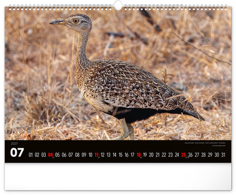 Wandkalender Lebendiges Afrika 2027, 48 x 33 cm