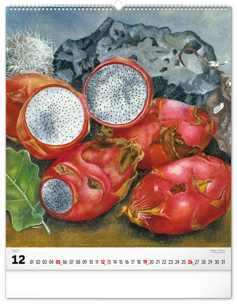 Wandkalender Frida Kahlo 2027, 48 x 56 cm