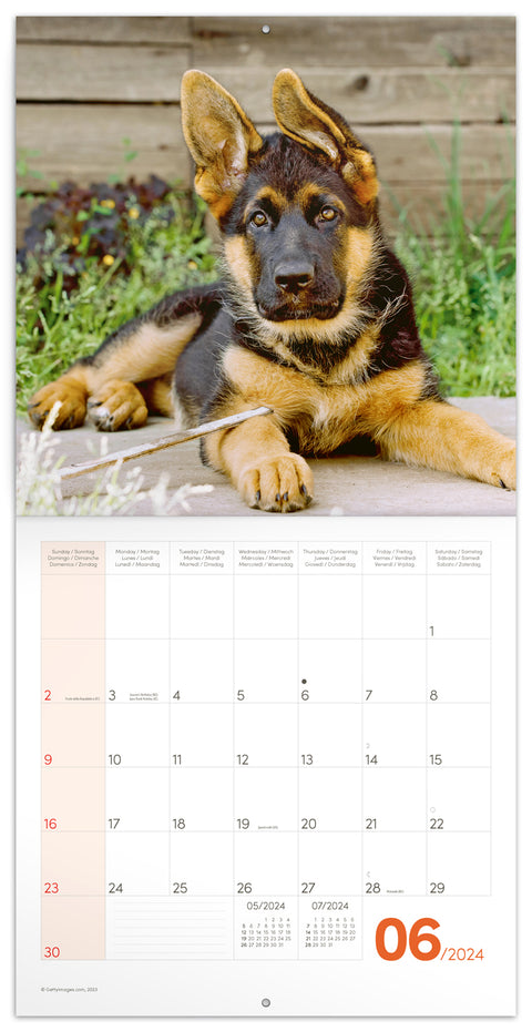 405ca9bbf3763c23c7db8be7f6c8e3d6