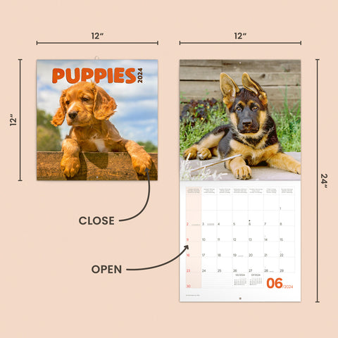 e65fbb3679ff5a77af8dd1d724bf5e4d