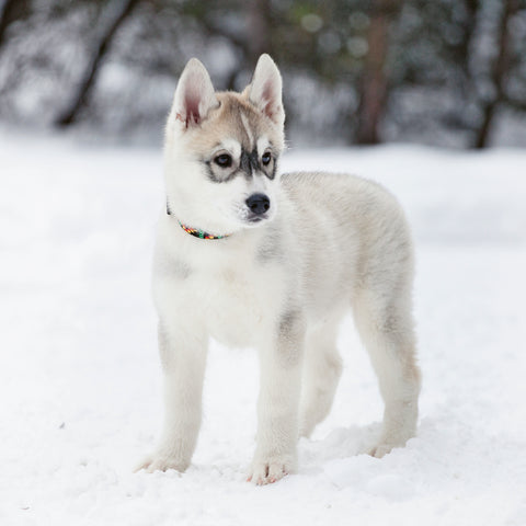 25bee44d5a5a905b3037f0678818abd1