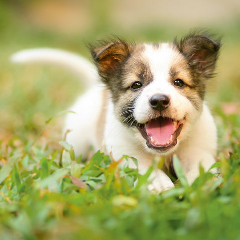 de19566e0eb8b38c6cc91e4bd38eec5b