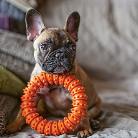 9b4a9a0947249962e23cd316c3f94850