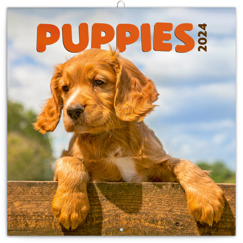 5f77c7423cb109631480c01936178f97